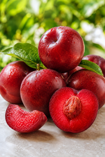 Слива домашня Ред Хард|Prunus domestica Red Heart|Слива домашняя Ред Хард